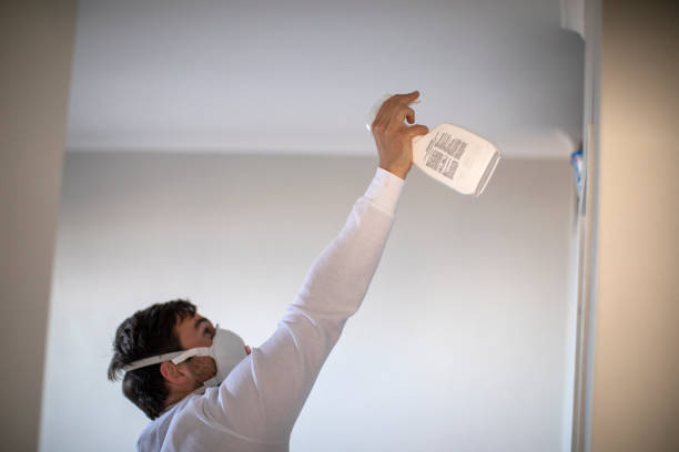 Best Crawl Space Mold Removal  in Schuylkill Haven, PA
